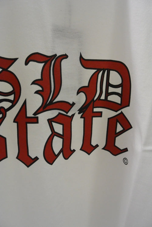 2019 A/W GalaabenD 30/1 シルケット天竺GLD state print TS
