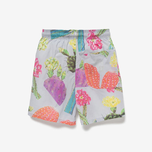 2024 S/S WTAPS SDDS2002 / SHORTS / COTTON. BROADCLOTH. TEXTILE